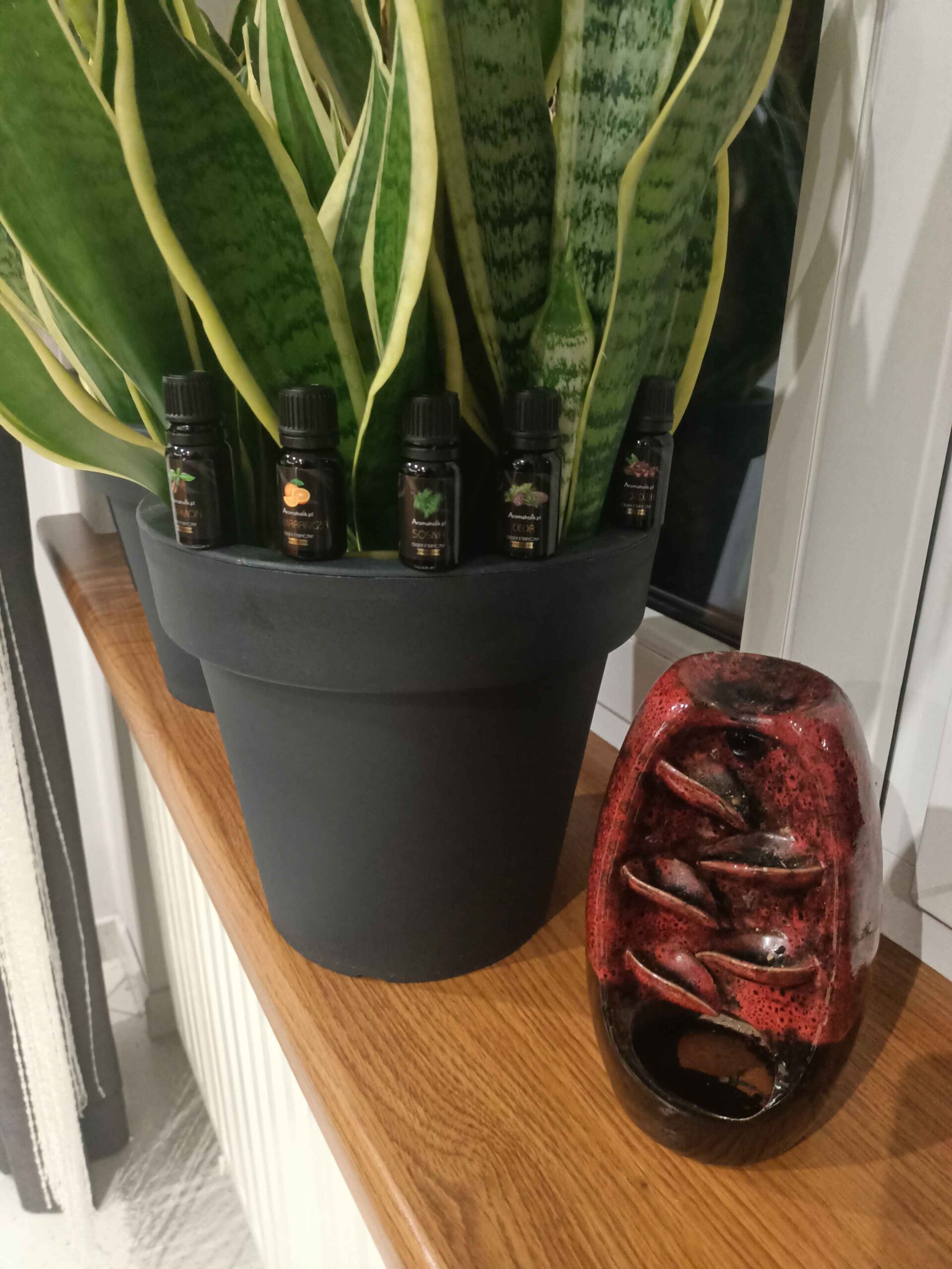 Aromaterapia – Aromaholik – IMG20241016205815 scaled