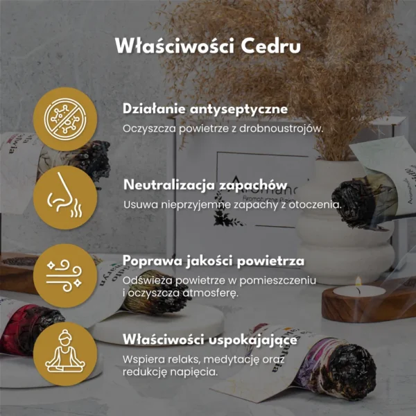 Suszony Cedr (Pęczek 11cm) Do Medytacji