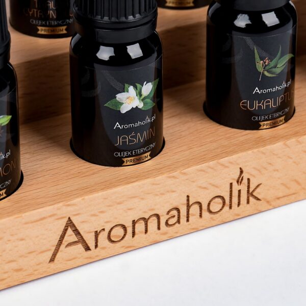 Zestaw Odkrywcy z Drewnianą Podstawką