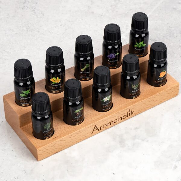 Zestaw Odkrywcy z Drewnianą Podstawką