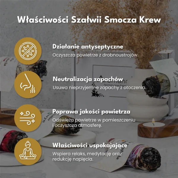 Szałwia Smocza Krew (Pęczek 13cm) Do Medytacji