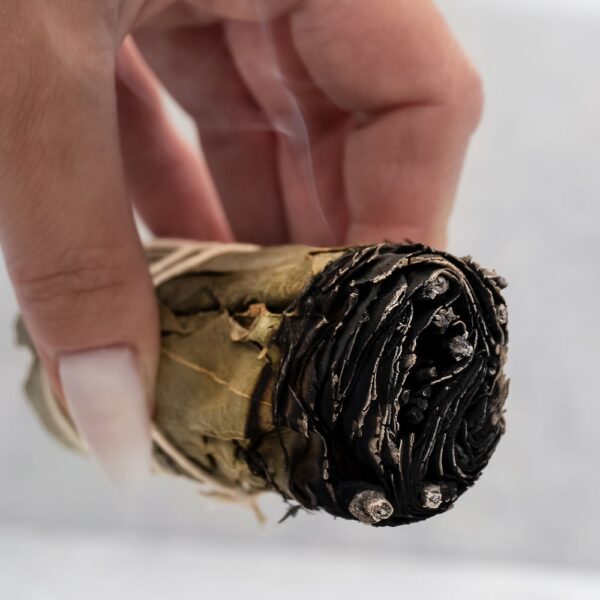 Szałwia Eukaliptusowa (Pęczek 11cm) Do Medytacji