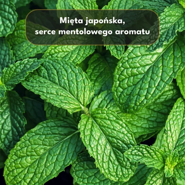 Mentol Krystaliczny Do Dyfuzora 100g