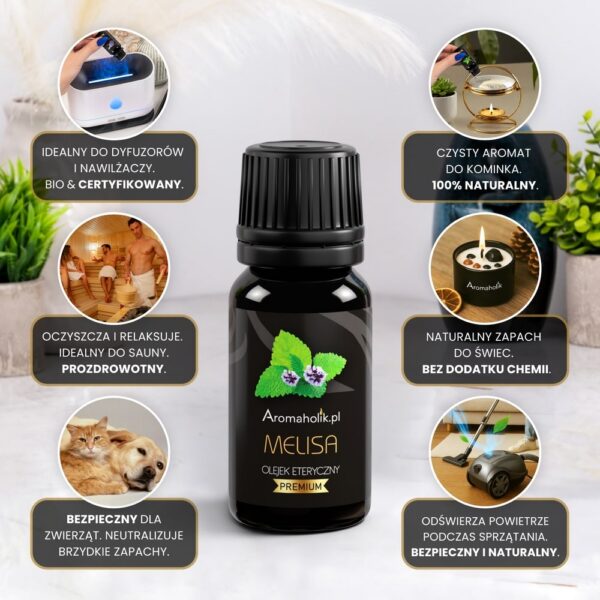 Zestaw Nowości - 10 Olejków Eterycznych