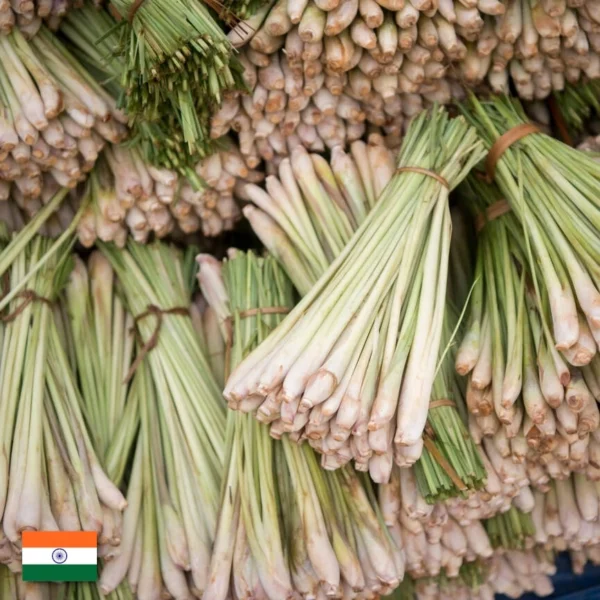 Olejek z Trawy Cytrynowej