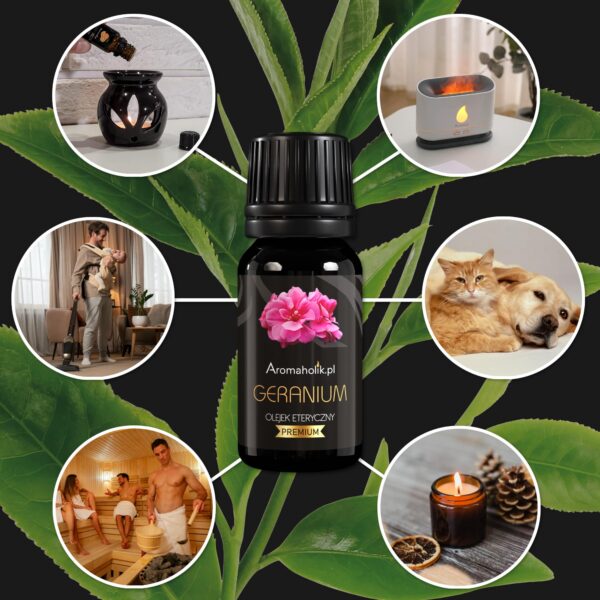 Zestaw Pasjonata - 20 Olejków Eterycznych