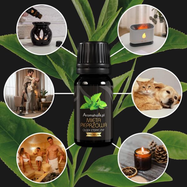 Zestaw Olejków Zdrowotny Plus