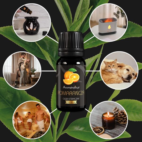 Zestaw Świąteczny - Pomarańcza, Cynamon, Sosna