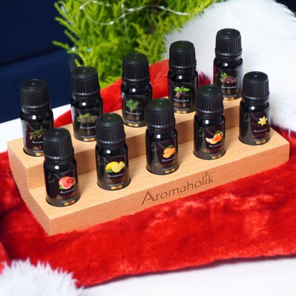 Zestaw Odkrywcy z Drewnianą Podstawką