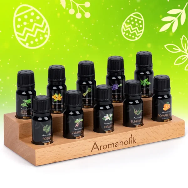 Zestaw Odkrywcy z Drewnianą Podstawką