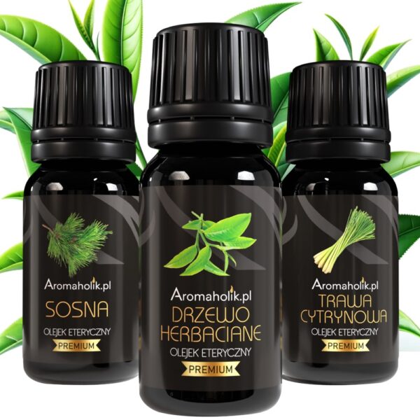 Zestaw Leśny - Sosna, Drzewo Herbaciane, Trawa Cytrynowa