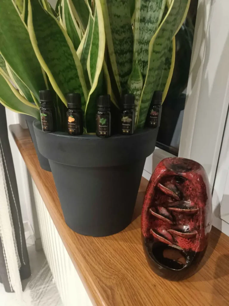 Aromaterapia &ndash; Aromaholik &ndash; IMG20241016205815 scaled 3