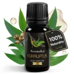 eukaliptus